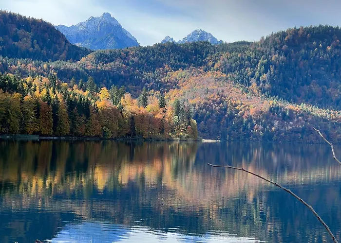 公寓 德意志公寓 *