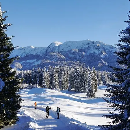Haus Deutsch Berg-see- Und Schloss Neuschwanstein Naehe